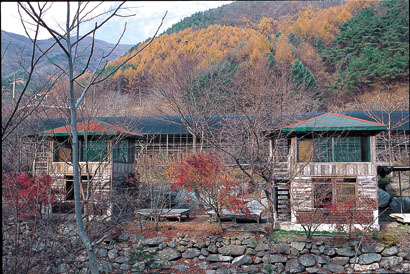 광덕사 이미지