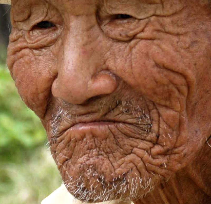 삼성복지상조주 이미지