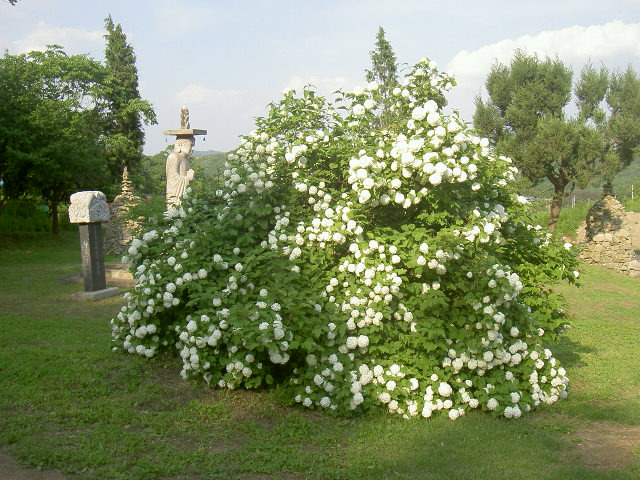 À̹ÌÁö¸¦ Ŭ¸¯ÇÏ¸é ¿øº»À» º¸½Ç ¼ö ÀÖ½À´Ï´Ù.