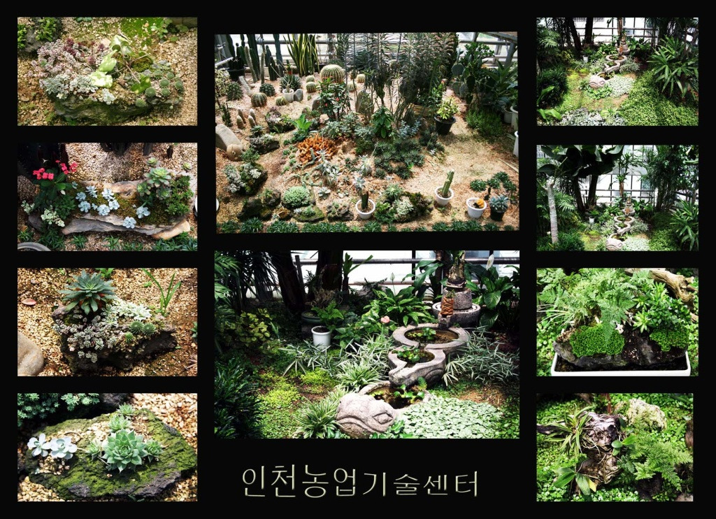 온실 이미지