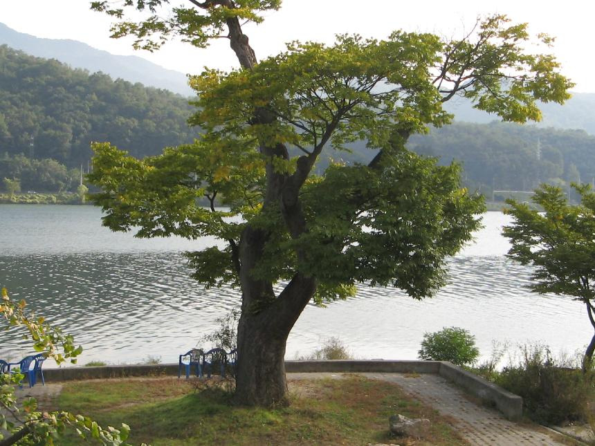 戚耕走研 適遣馬檎 据沙聖 左叔 呪 赤柔艦陥.