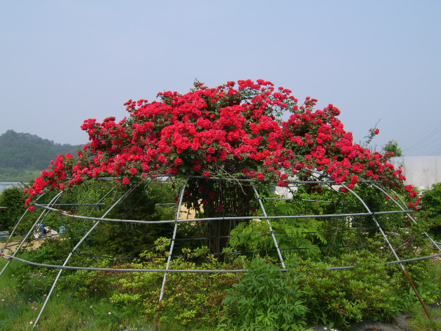 평산방 이미지