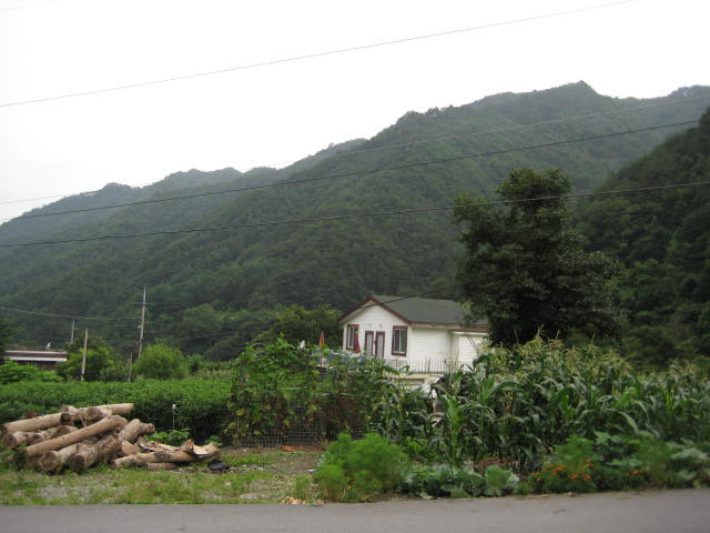 친정집민박 이미지