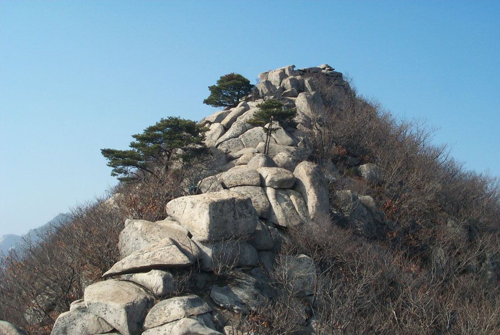 대선정 이미지