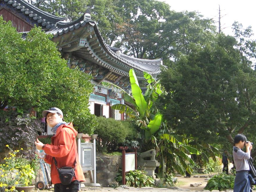 戚耕走研 適遣馬檎 据沙聖 左叔 呪 赤柔艦陥.