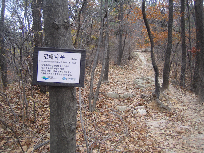 교통광장 이미지