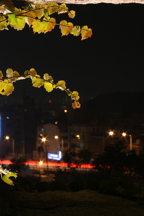 수원성 이미지