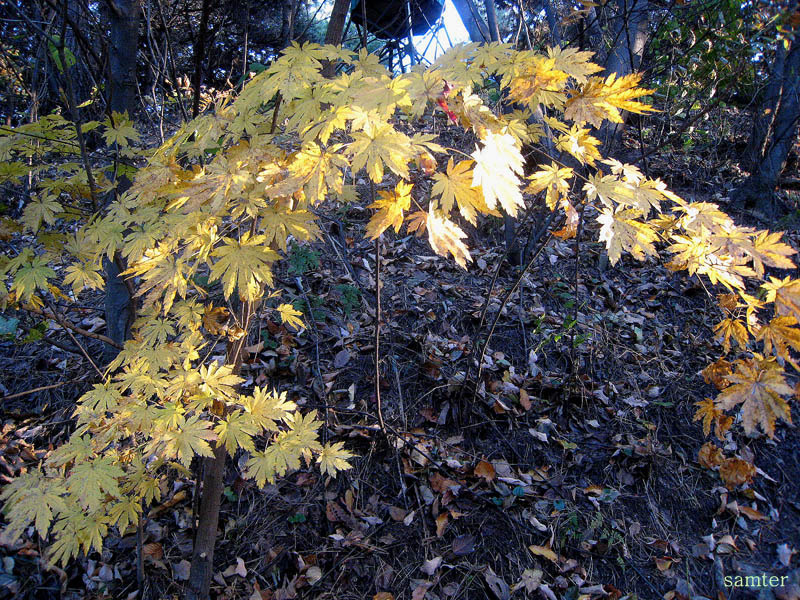 �̹����� Ŭ���ϸ� ������ ���� �� �ֽ��ϴ�.