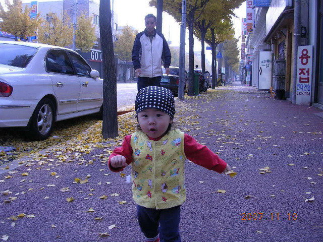 오리둥지 이미지