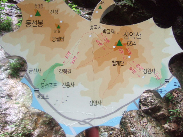 비선식당 이미지