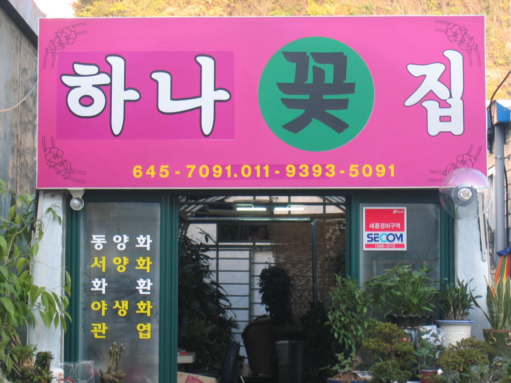 하나꽃집 이미지